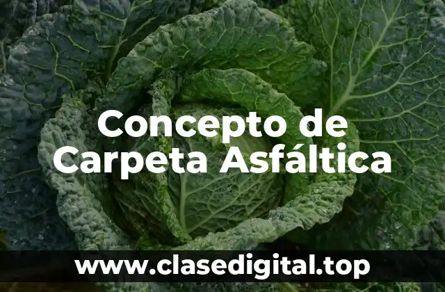 Concepto de Carpeta Asfáltica