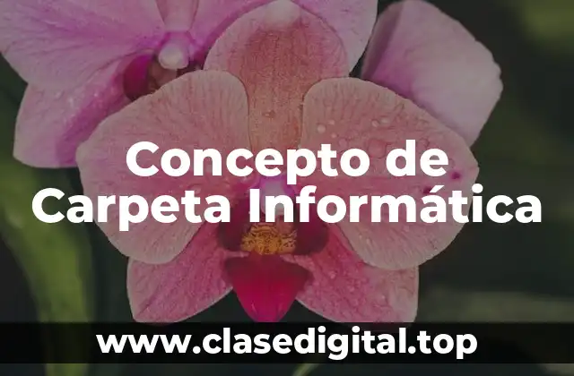 Concepto de Carpeta Informática
