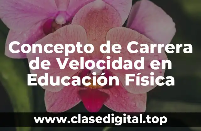 Concepto de Carrera de Velocidad en Educación Física