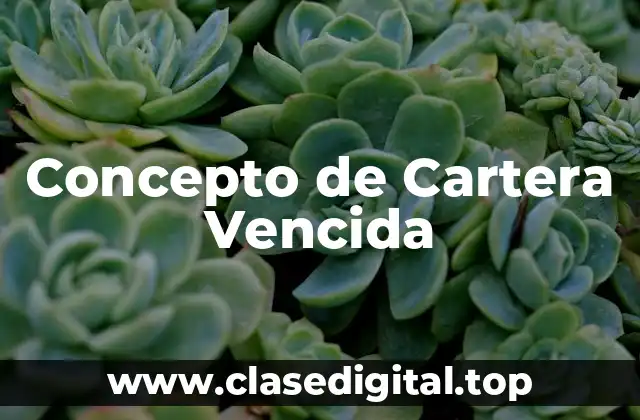 Concepto de Cartera Vencida