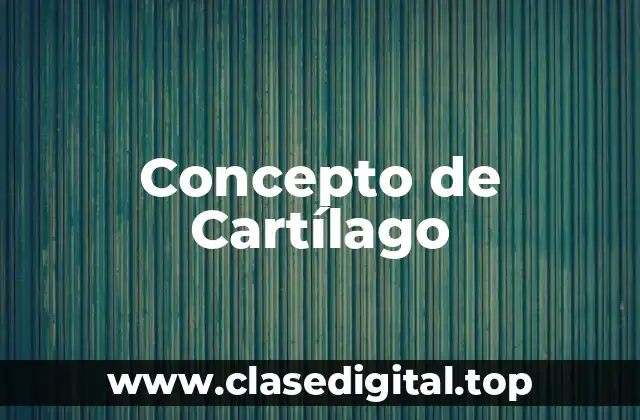 ❇️ Concepto de Cartílago