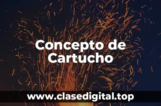 Concepto de Cartucho