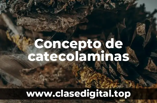 Concepto de catecolaminas