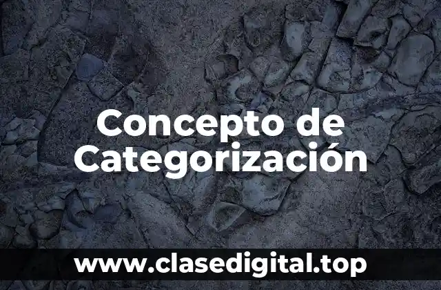 Concepto de Categorización