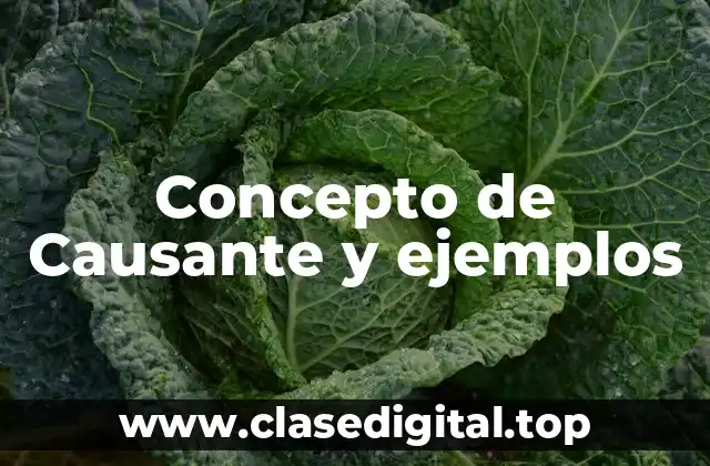 Concepto de Causante y ejemplos