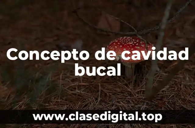 Concepto de cavidad bucal