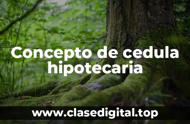 Concepto de cedula hipotecaria
