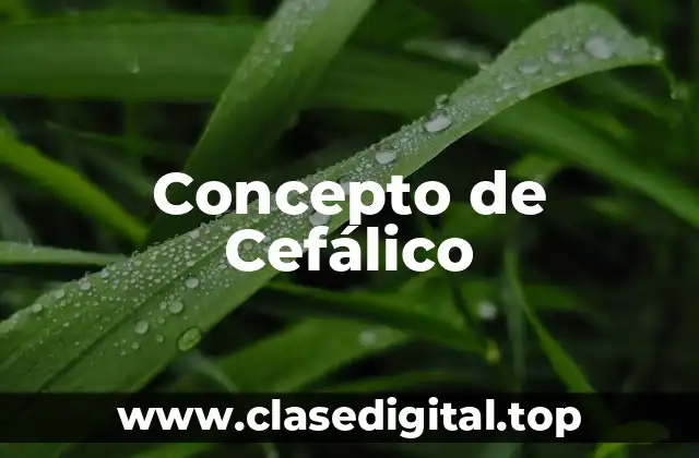 Concepto de Cefálico