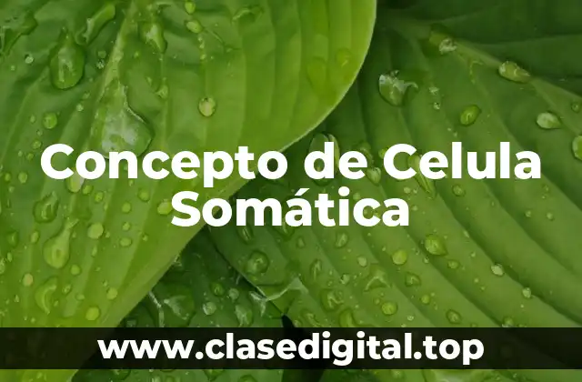 📗 Concepto de célula somática