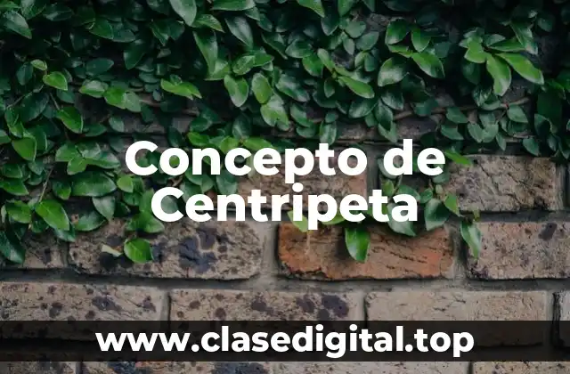 Concepto de Centripeta