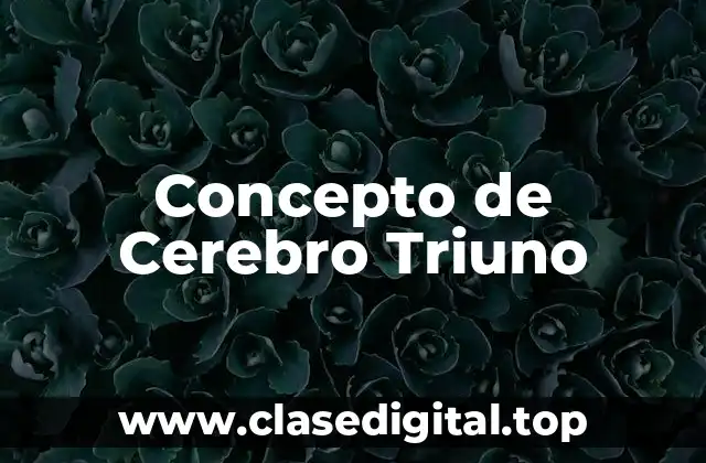 Concepto de Cerebro Triuno