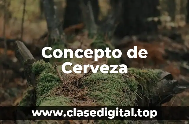 Concepto de Cerveza