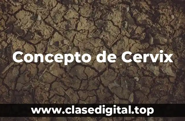 Concepto de Cervix