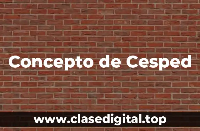 Concepto de Cesped