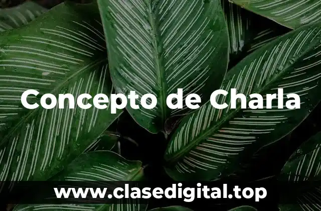 Concepto de Charla