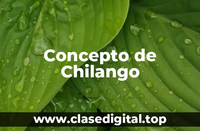 Concepto de Chilango