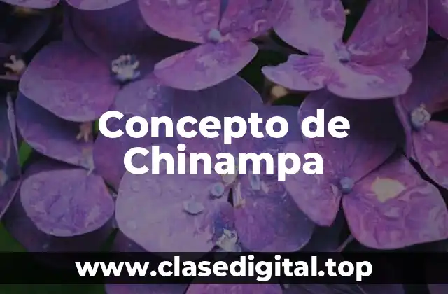 Concepto de Chinampa