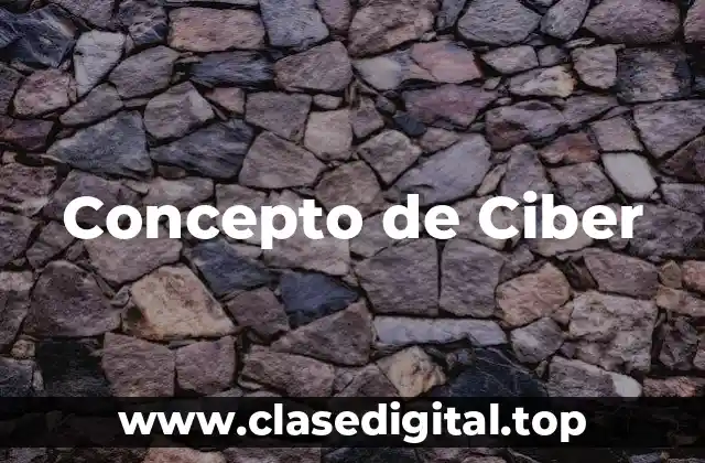 Concepto de Ciber