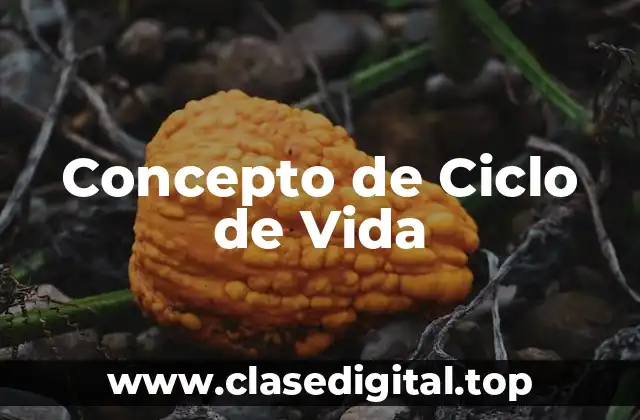 Concepto de Ciclo de Vida