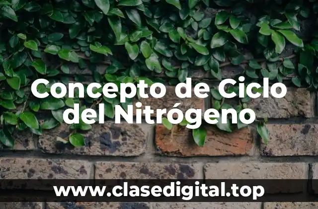 Concepto de Ciclo del Nitrógeno