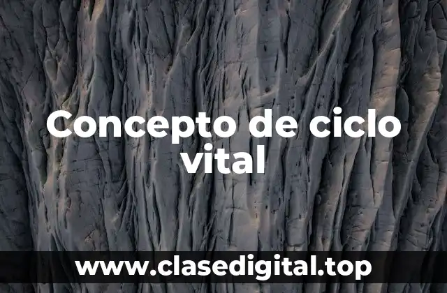 Concepto de ciclo vital