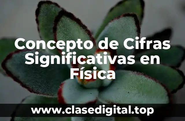 Concepto de Cifras Significativas en Física
