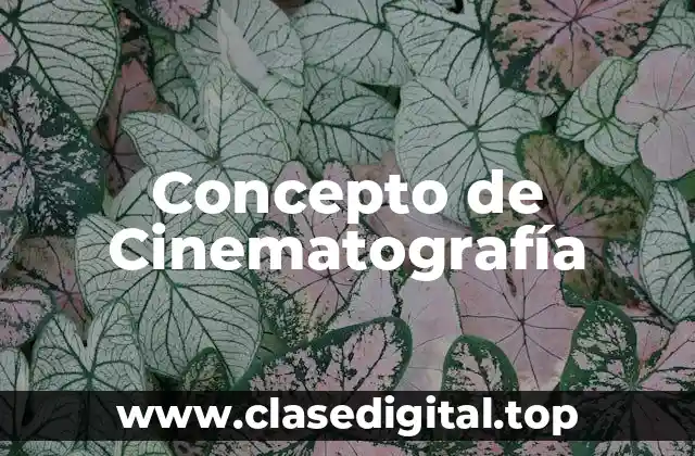 Concepto de Cinematografía