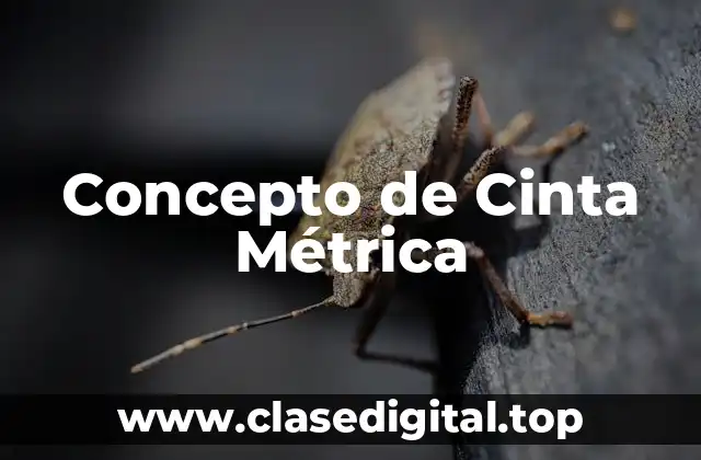 ✨ Concepto de Cinta Métrica