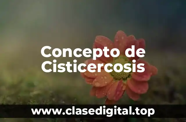 Concepto de Cisticercosis