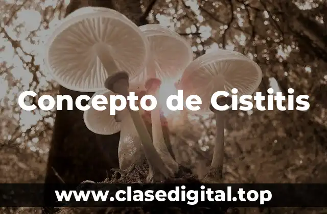 Concepto de Cistitis