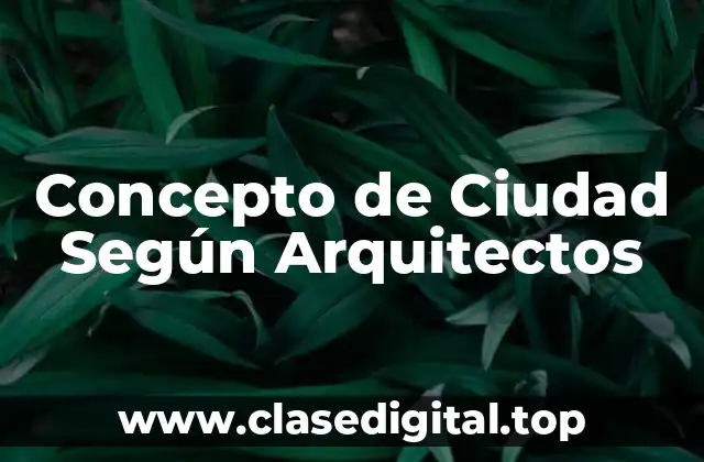 Concepto de Ciudad Según Arquitectos