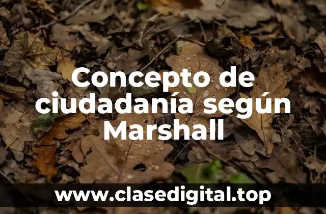 ✨ Concepto de ciudadanía según Marshall
