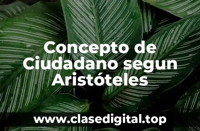 📗 Concepto de Ciudadano según Aristóteles