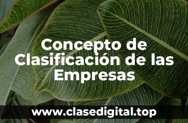 📗 Concepto de Clasificación de Empresas