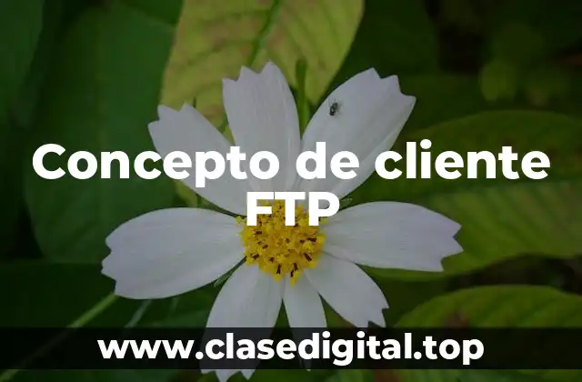 Concepto de cliente FTP