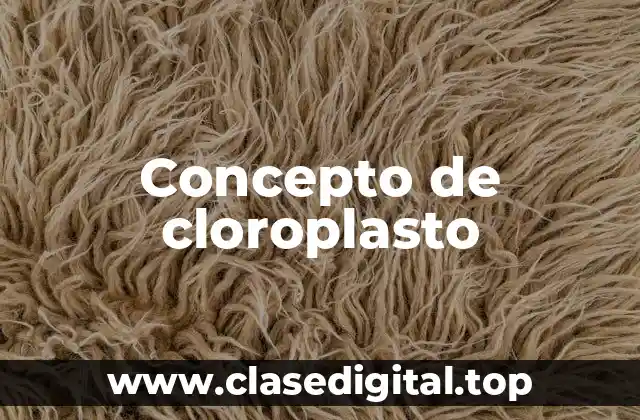 Concepto de cloroplasto