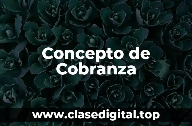 Concepto de Cobranza