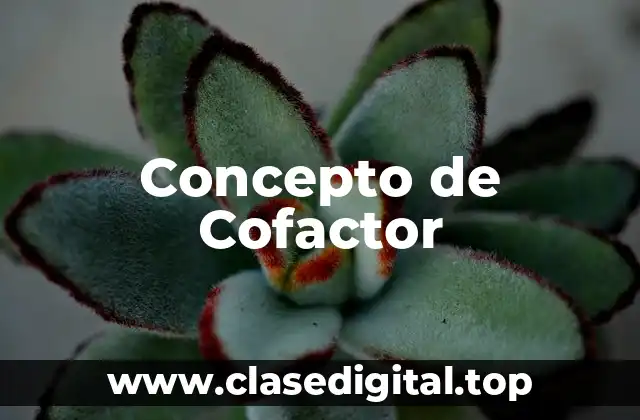 Concepto de Cofactor