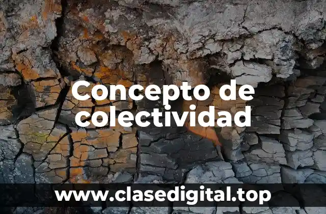 Concepto de colectividad
