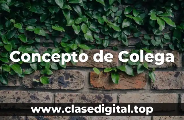 Concepto de Colega