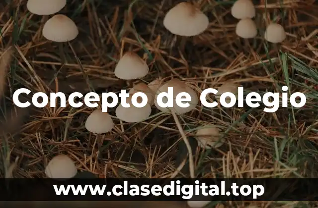 Concepto de Colegio
