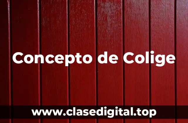 Concepto de Colige