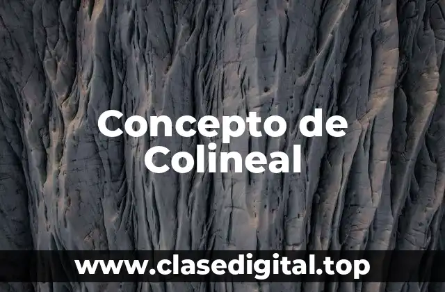 📗 Concepto de Colineal