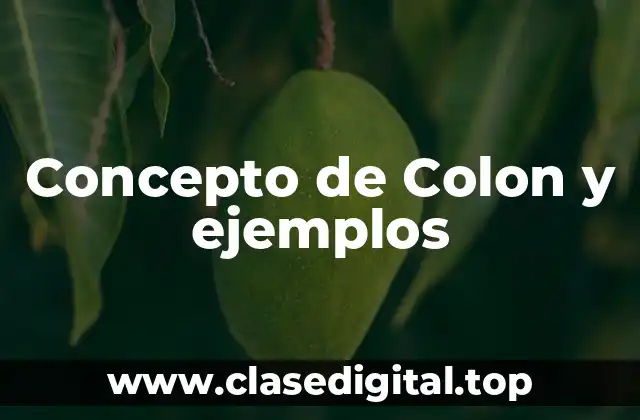 Concepto de Colon y ejemplos