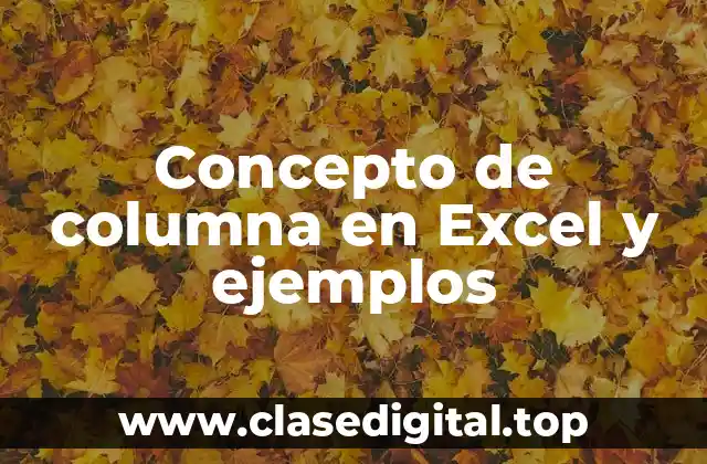 Concepto de columna en Excel y ejemplos