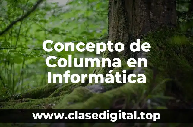 Concepto de Columna en Informática