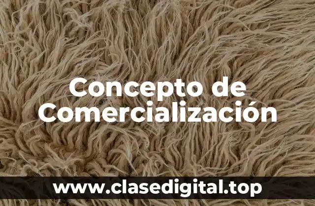 Concepto de Comercialización
