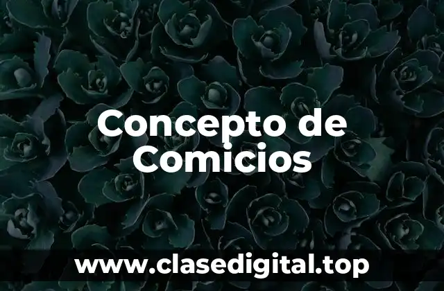 Concepto de Comicios