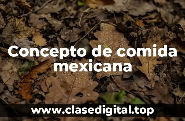📗 Concepto de comida mexicana