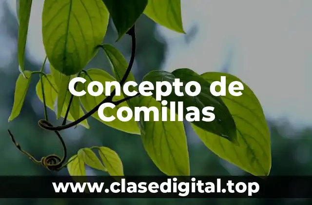 Concepto de Comillas